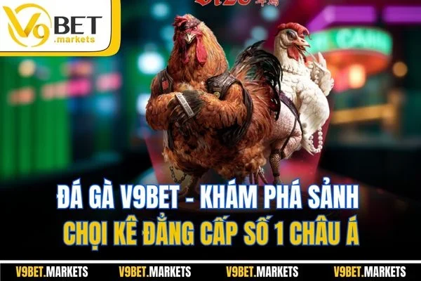 Đá Gà V9BET - Khám Phá Sảnh Chọi Kê Đẳng Cấp Số 1 Châu Á Đá Gà V9BET - Khám Phá Sảnh Chọi Kê Đẳng Cấp Số 1 Châu Á